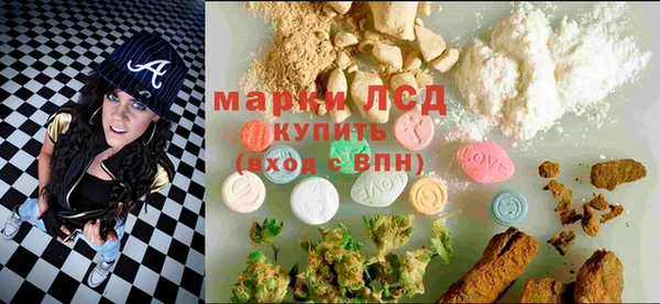 стафф Осташков