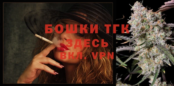 стафф Осташков