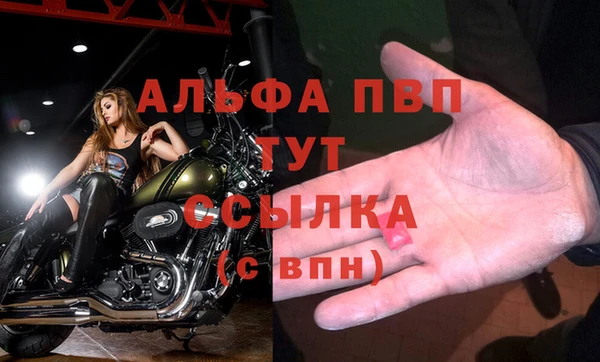 стафф Осташков