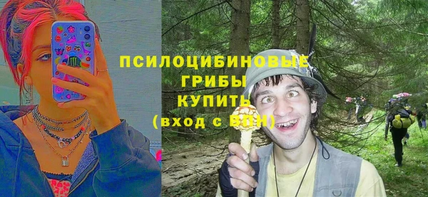 круглые Осинники