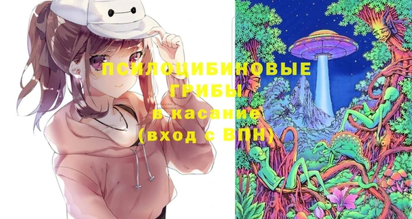 круглые Осинники