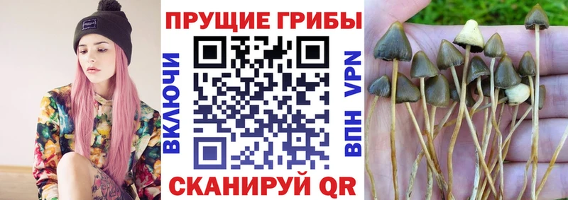 Галлюциногенные грибы мухоморы  мориарти как зайти  Балей 